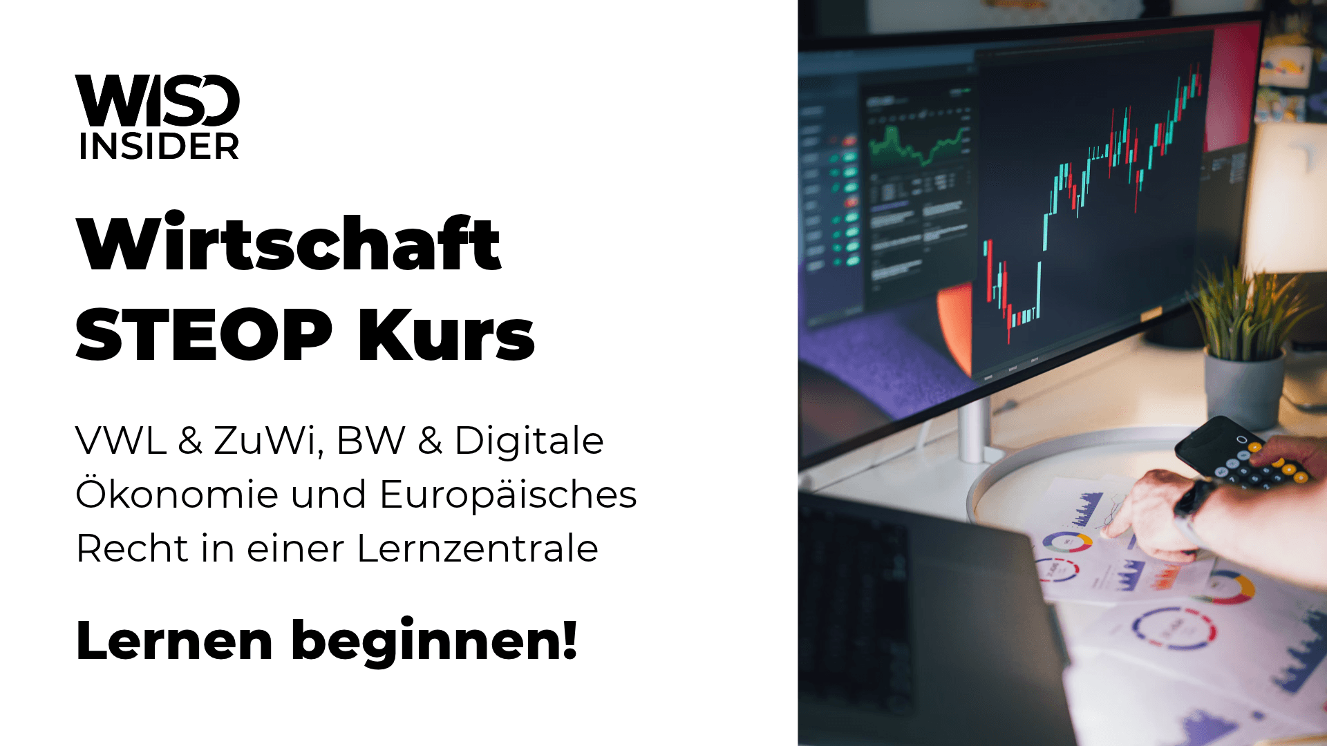 Wirtschaft STEOP Kurs